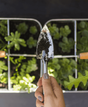 top view person taking care plants 1