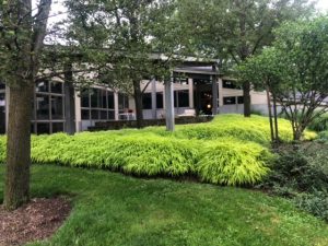 Landscaping Services in Cortlandt Manor, NY front yard