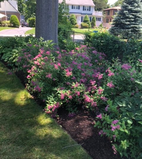 Landscaping in Bedford, NY backyard renovation