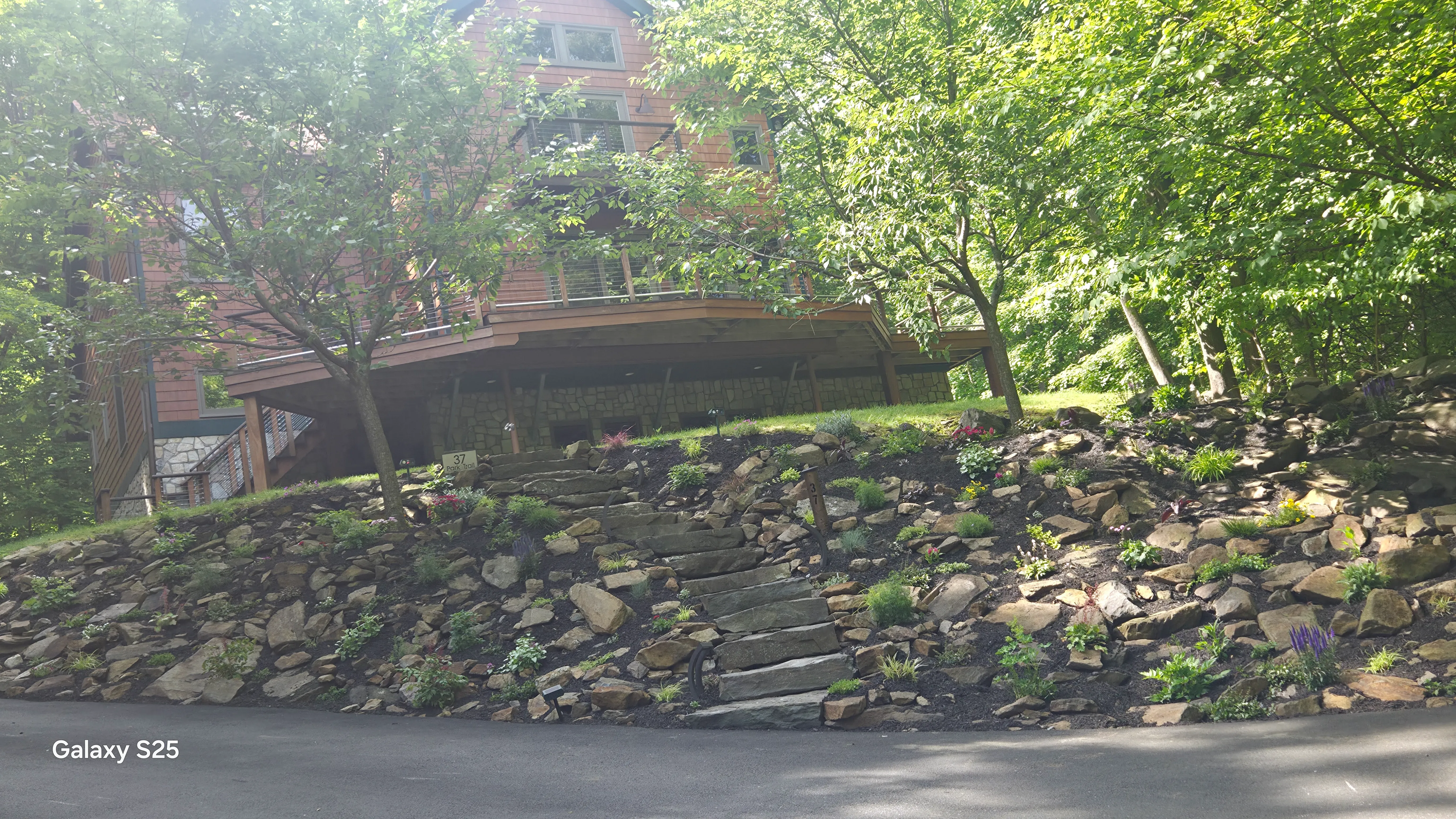 nyc plant installation