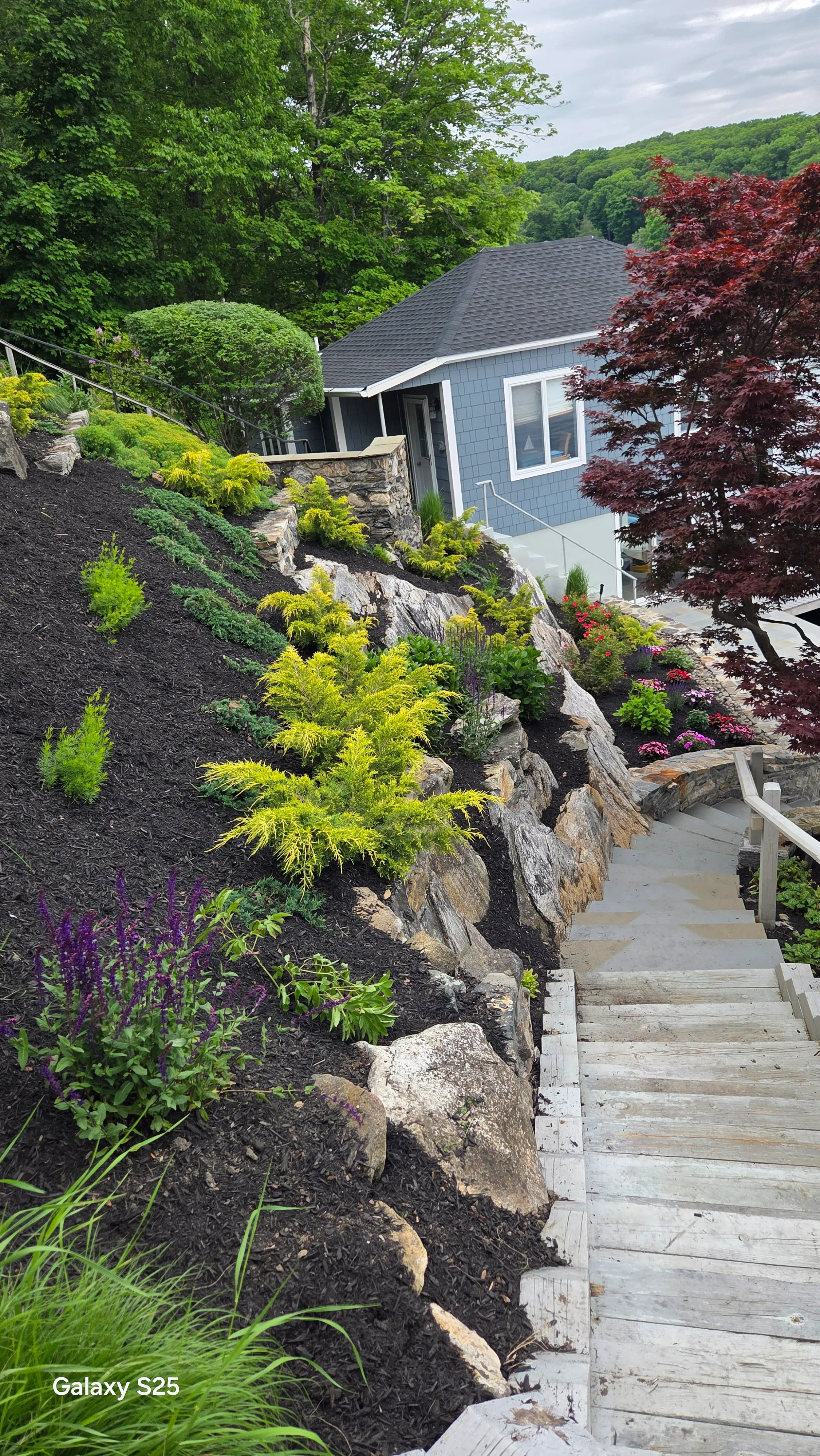 professional groundskeeper ny