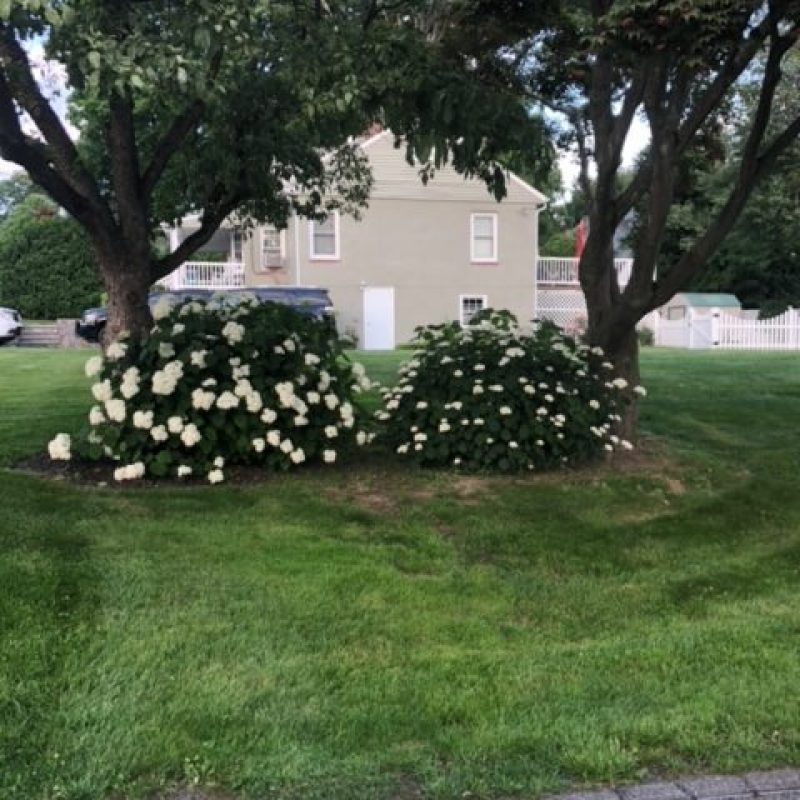 Landscaping in Armonk Expert Landscaping in Armonk enhancing a residential property